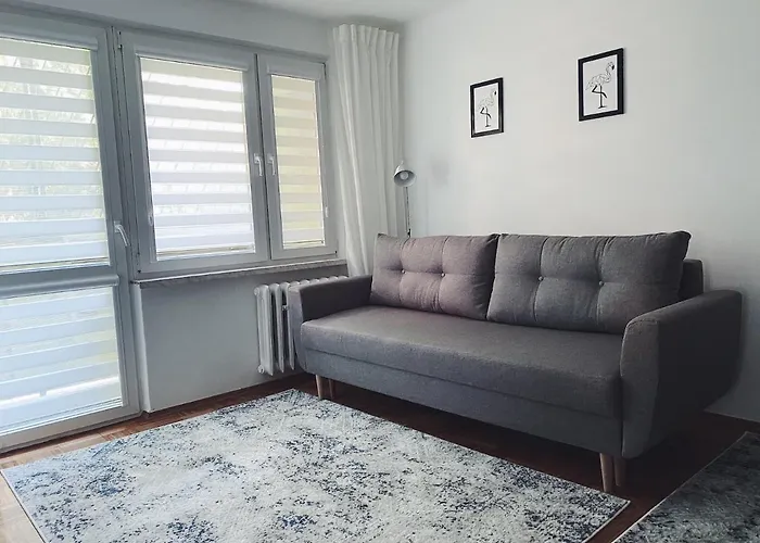 Apartament 23
